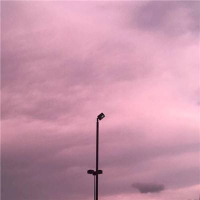 365平台下载手机版截图