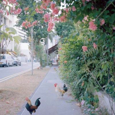 365平台下载手机版截图