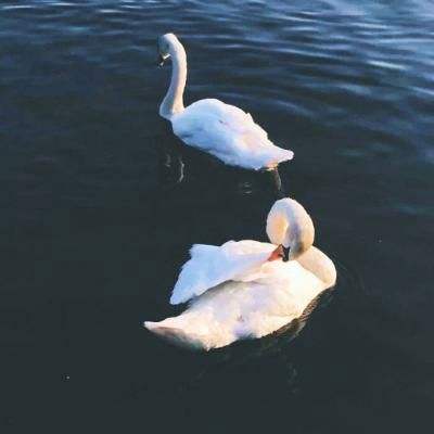 云顶集团app下载