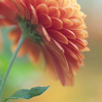 m6APP官网下载截图