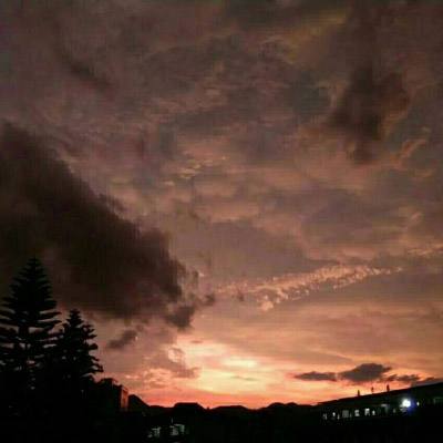 OB官网登录入口