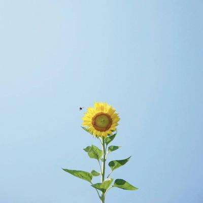 亚博app(中国)官方网站