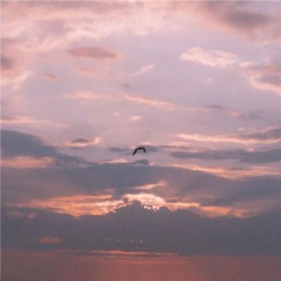 M6米乐APP下载截图