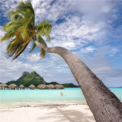 亚博足球外围软件截图