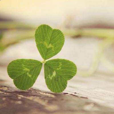 亚博足球外围软件截图