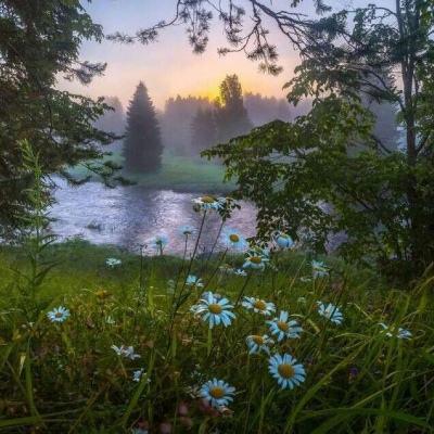 半岛·综合体育手机app下载